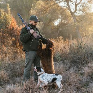 chien à la chasse