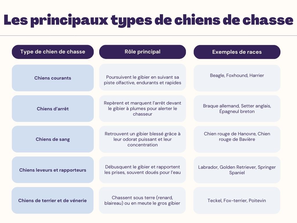 Les principaux types de chiens de chasse