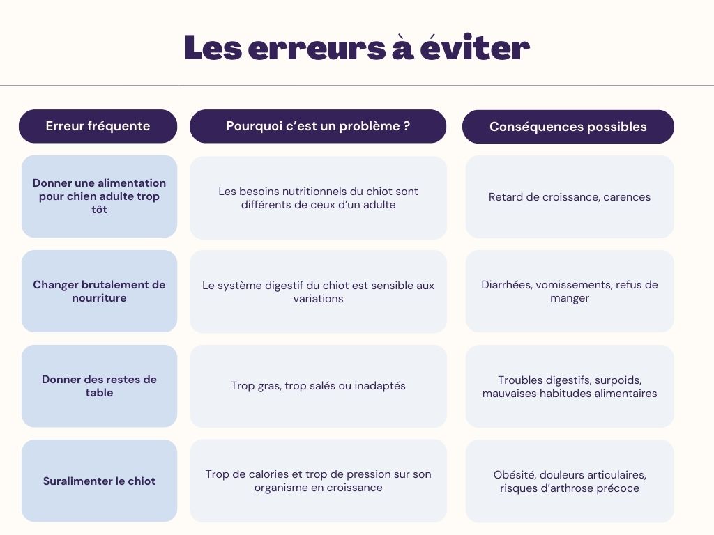 Les erreurs à éviter chiot