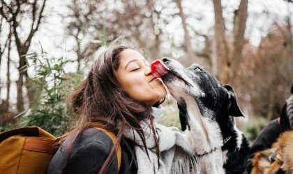 Découvrez pourquoi votre chien vous lèche