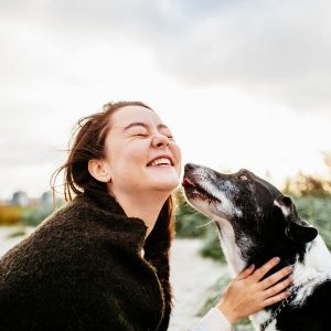 comportement du chien