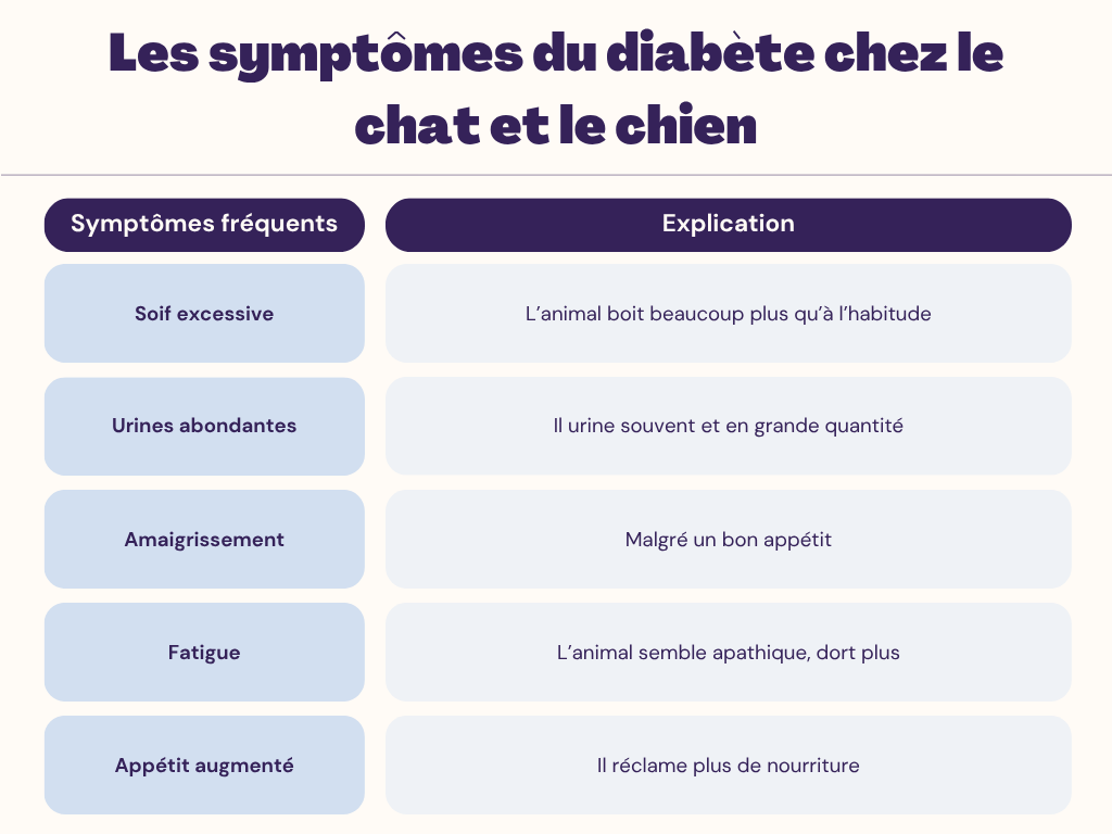 Les symptômes du diabète chez le chat et le chien