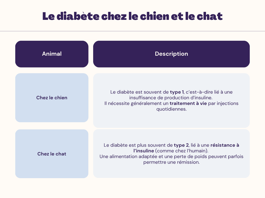 tableau diabète chat et chien