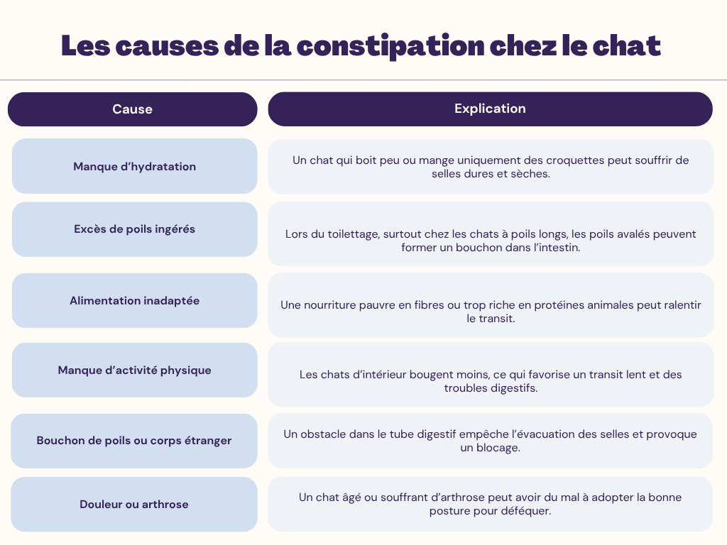 Quelles sont les causes de la constipation chez le chat ?