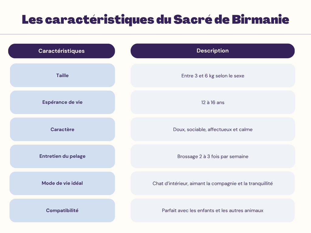 Les caractéristiques du Sacré de Birmanie