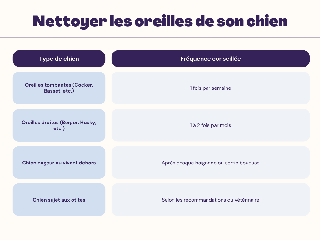 À quelle fréquence nettoyer les oreilles de son chien ?