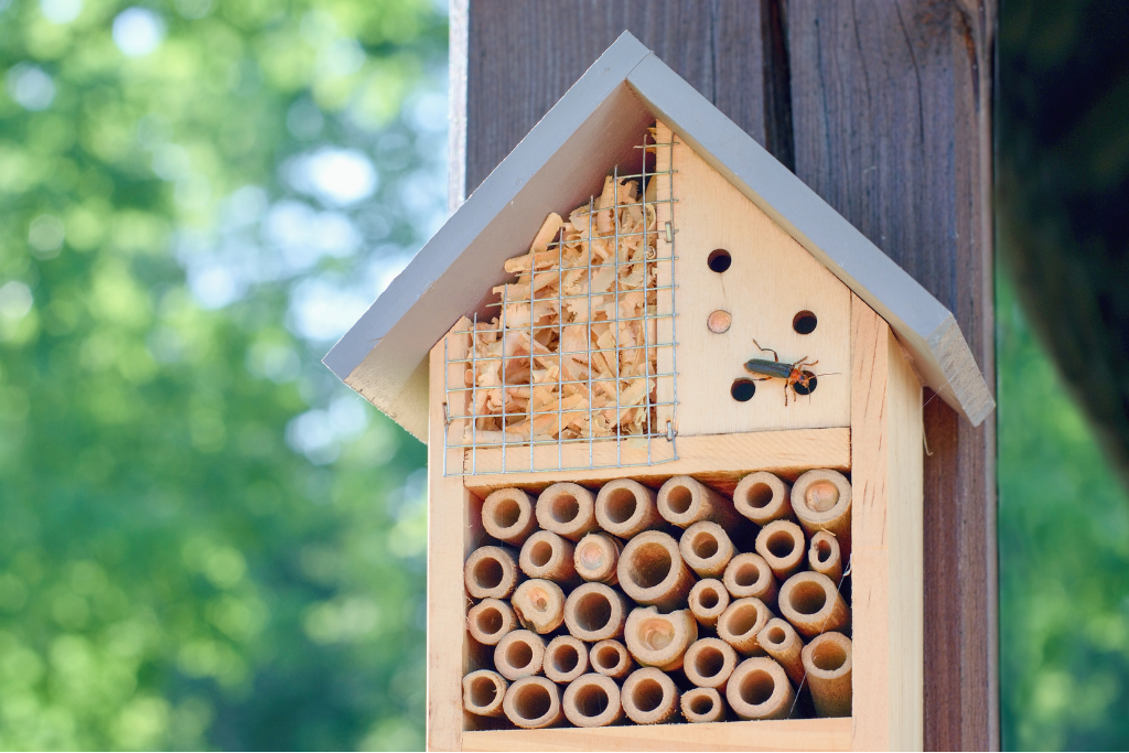 hôtel à insectes