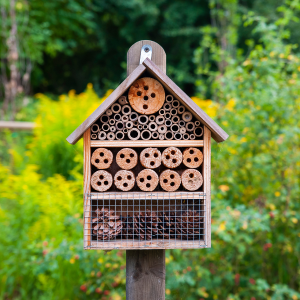 Agir pour la biodiversité