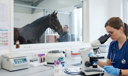 Coproscopie chez le cheval