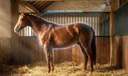 Santé équine : L'IA veille sur votre cheval avec Novostable.