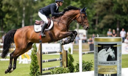 Découvrez Equistro Flexadin