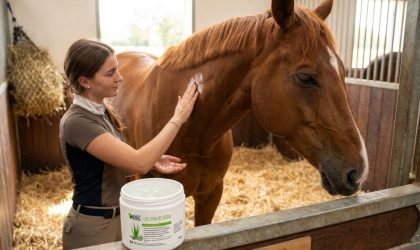 Gel d'Aloe Vera ESC Laboratoire sur Companimo