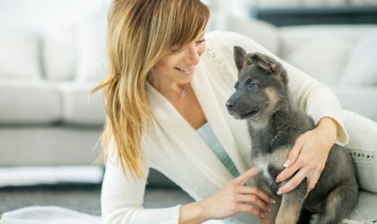 comment éviter l'anxiété de séparation chez le chiot