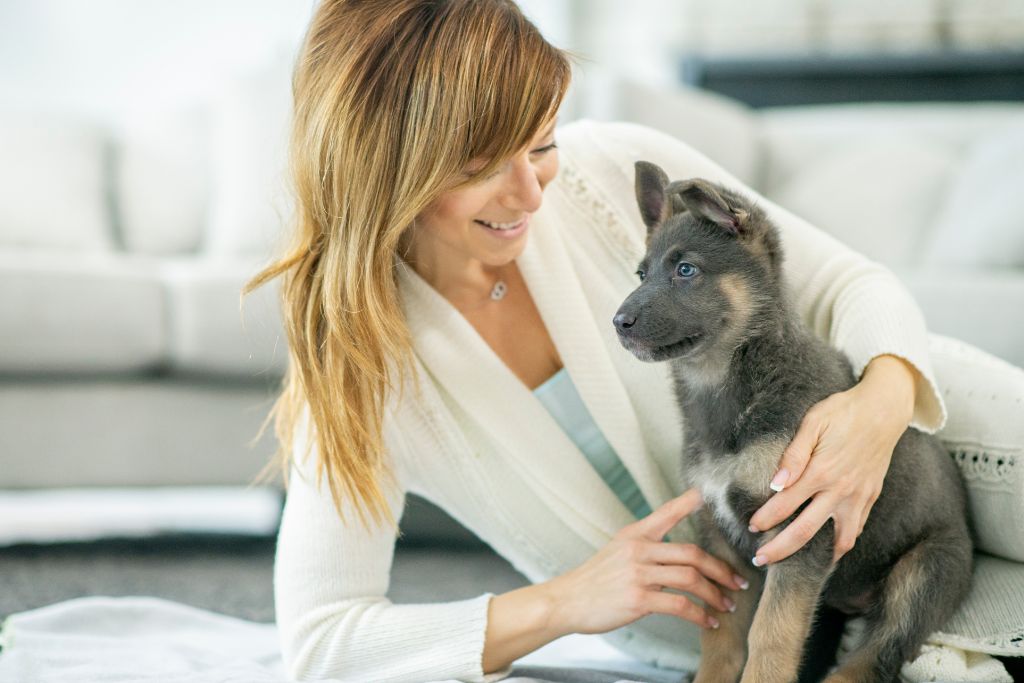comment éviter l'anxiété de séparation chez le chiot