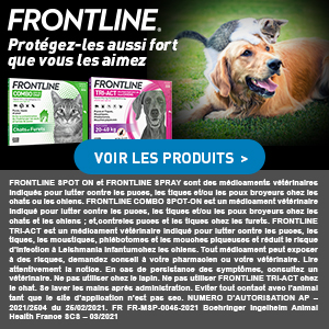 Frontline Combo