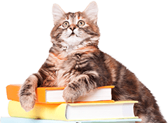 Livres sur les chats