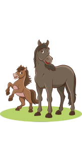 Friandises pour cheval Friandises pour cheval