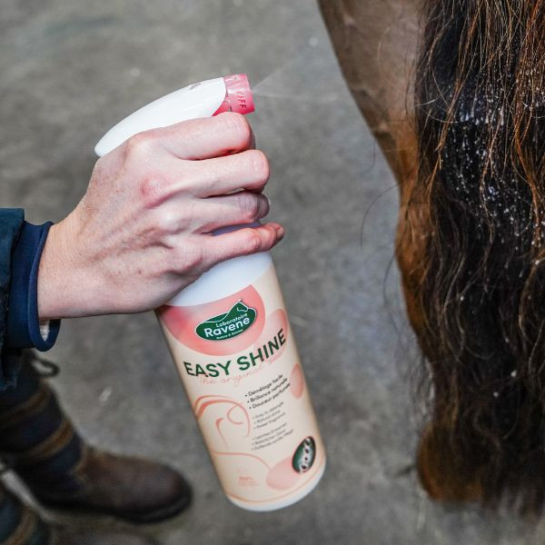 Ravene Easy Shine Lustrant - 750 ml