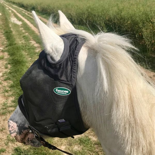 Ravene Masque Emouchine sans Oreilles