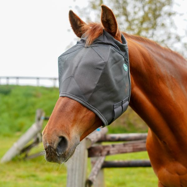 Ravene Masque Emouchine sans Oreilles