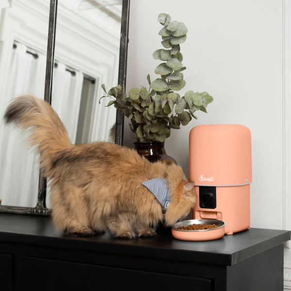 Bandit Distributeur de Croquettes Intelligent 