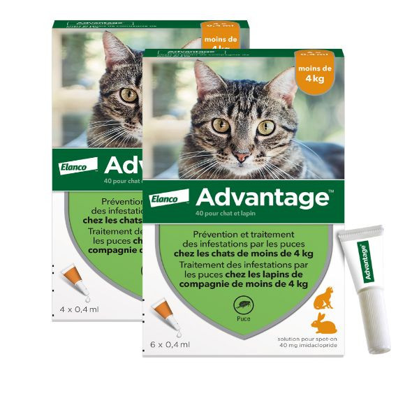 Advantage Anti-puces pour Chat (<4 kg)
