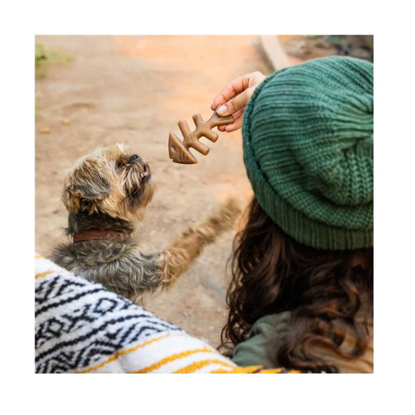 Benebone Tiny 2 Pack au Saumon 