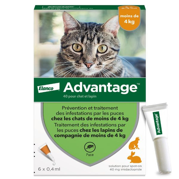 Advantage Anti-puces pour Chat (<4 kg)