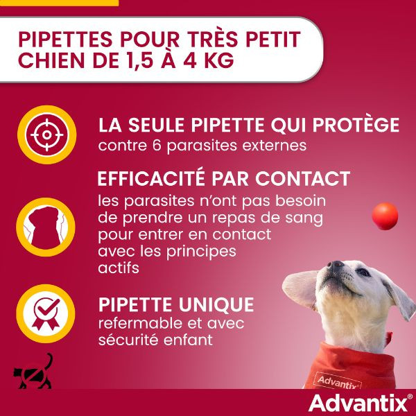 Advantix Très Petit Chien (1-4 kg)