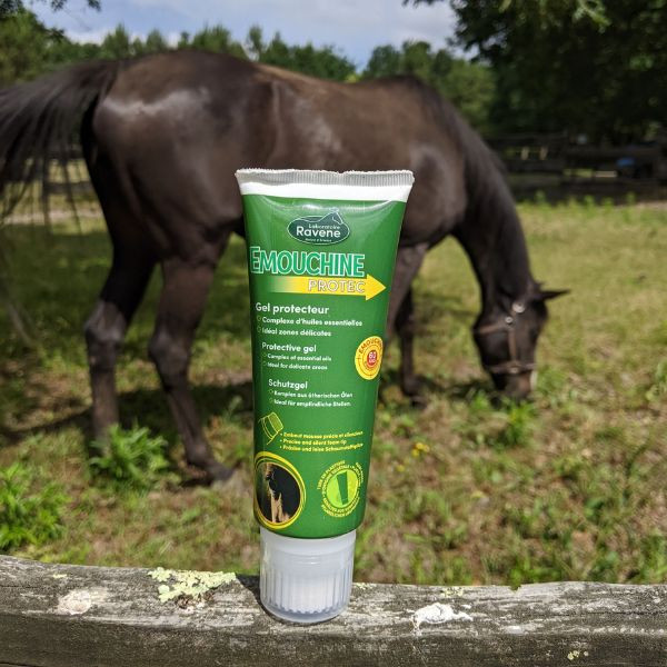 Ravene Emouchine Protec avec Embout Mousse - 100 ml