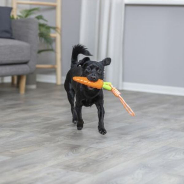 Trixie Carotte Jouet pour Chien