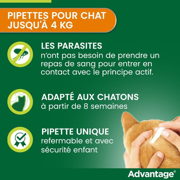 Advantage Anti-puces pour Chat (<4 kg)