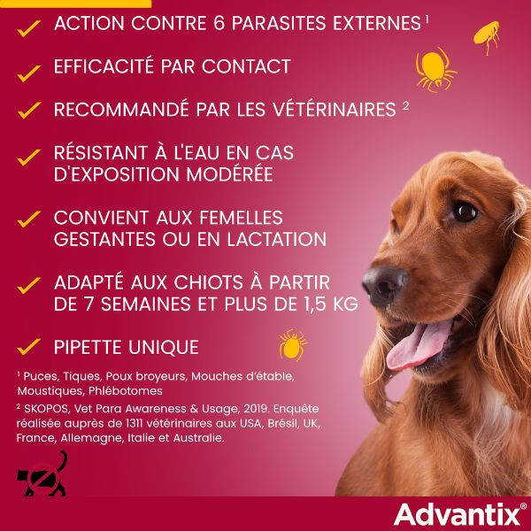 Advantix Très Petit Chien (1-4 kg)