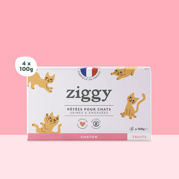 Ziggy Pâtée Chaton Truite - 4 x 100 g 