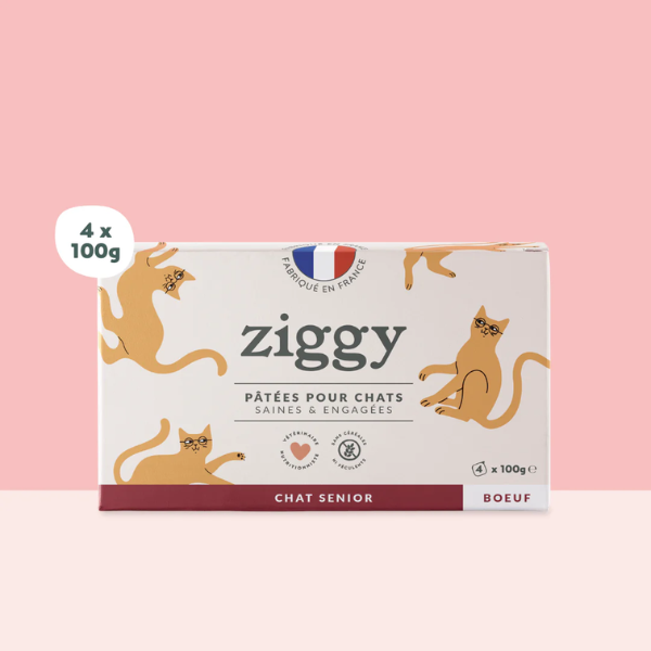 Ziggy Pâtée Chat Senior - 4 x 100 g
