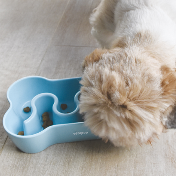 Vétopop Gamelle Anti-glouton Chien - Bleu