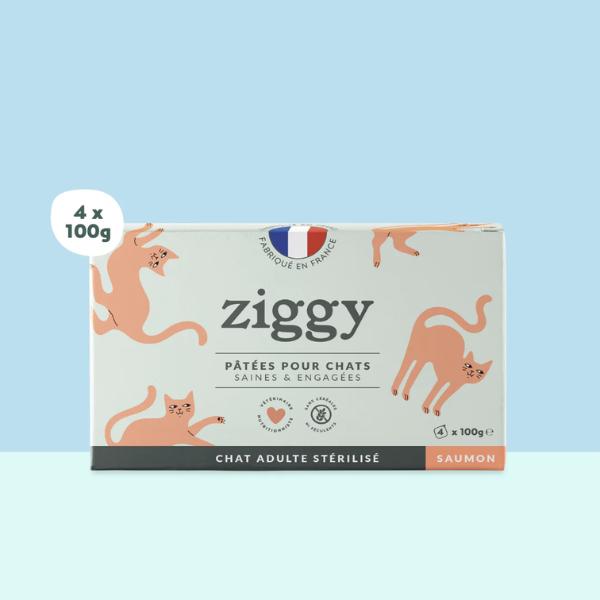 Ziggy Pâtées Chat Stérilisé au Saumon - 4 x 100 g