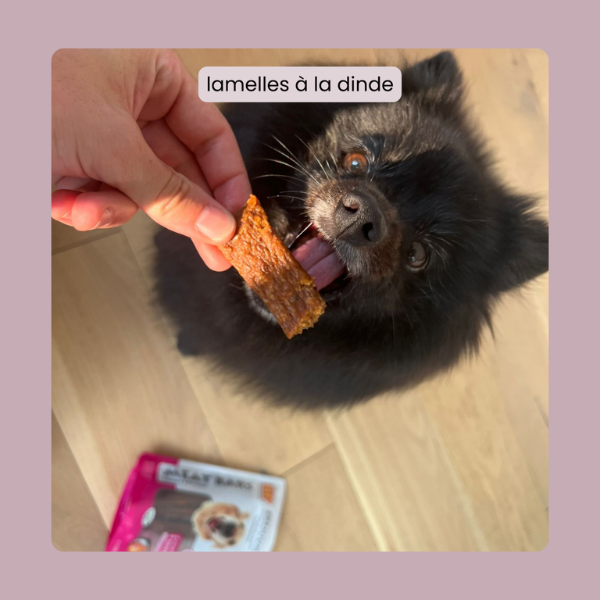 BF Petfood Lamelles Dinde pour Chien - 100 g