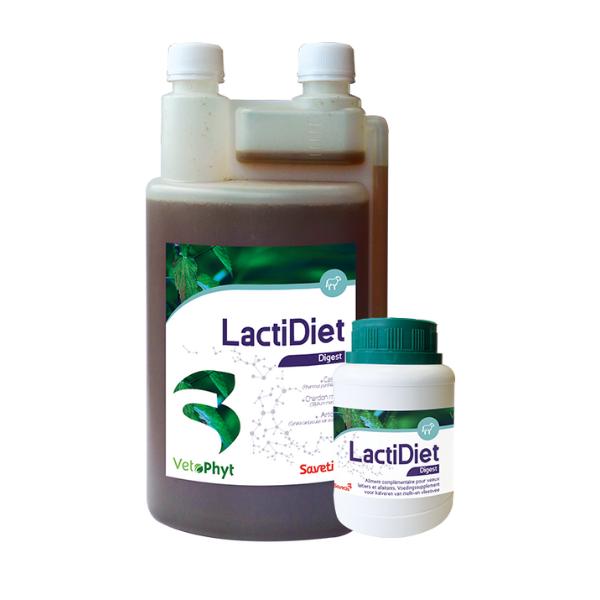 Lactidiet