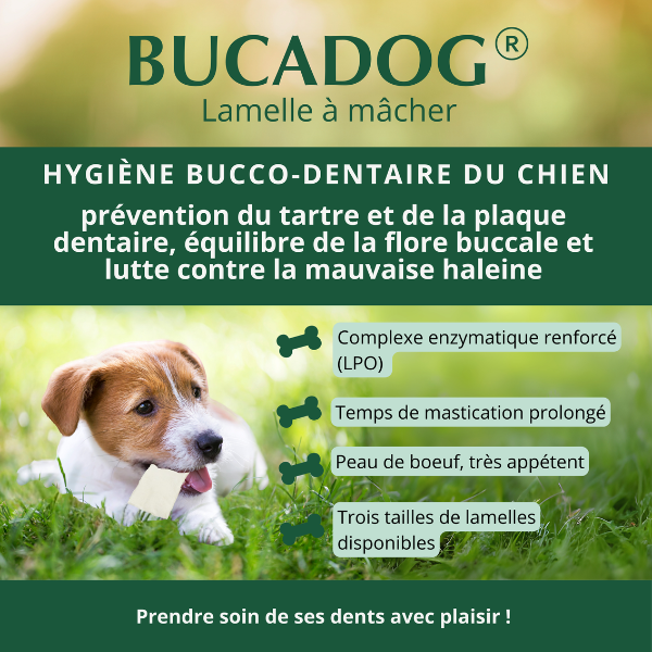 Bucadog Lamelles à Mâcher pour Chien