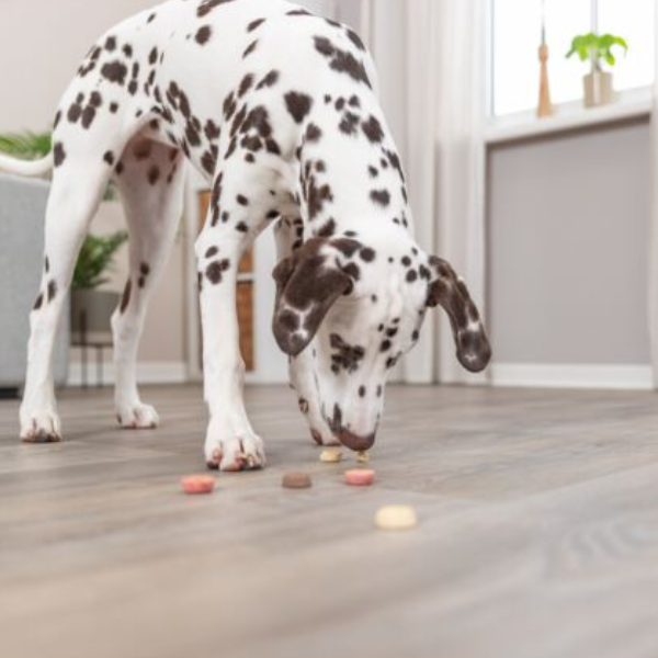 Trixie Cookie Snack Loops pour Chien - 1.3 kg