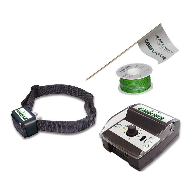 Numaxes Canifugue - Clôture Anti-fugue pour 1 Chien