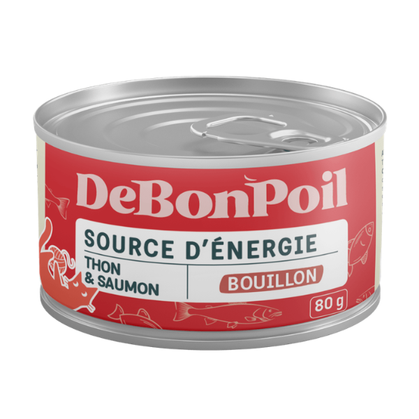 DeBonPoil Chat Energie