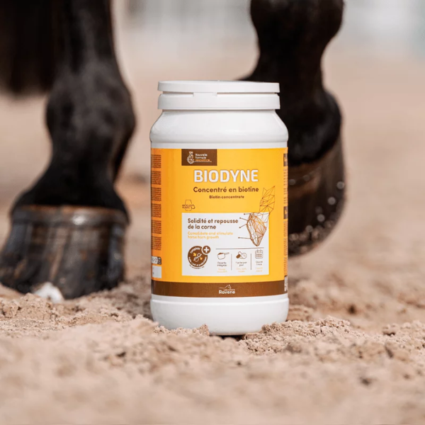 Ravene Biodyne - 1 Kg