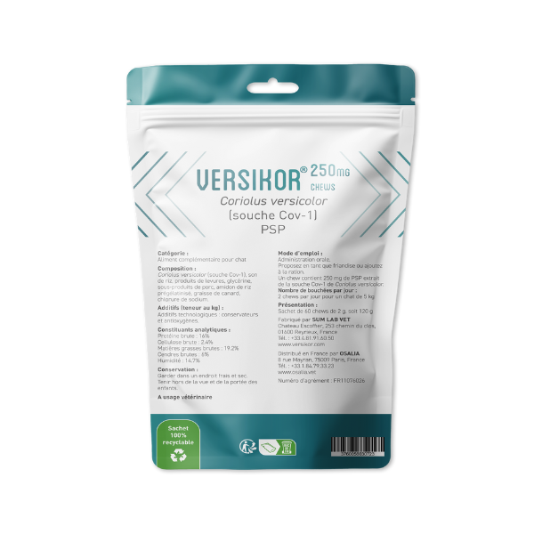 Versikor 500 Chews pour Chat 