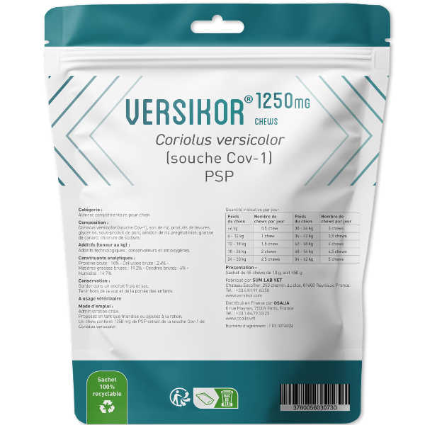 Versikor 500 Chews pour Chien
