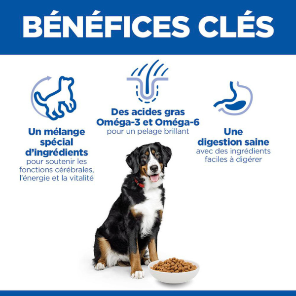 Hill's Science Plan Canine Adult 6+ Senior Vitality Large Breed - 14 kg