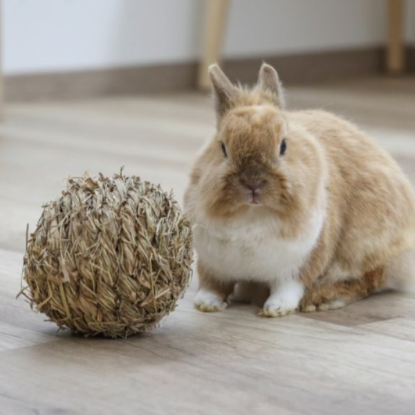 Balle en herbe pour rongeur