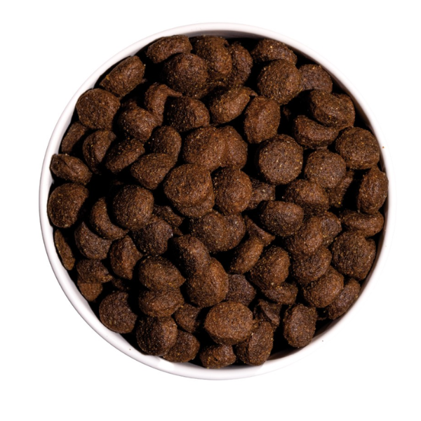 Ownat Classic Adulte Energy