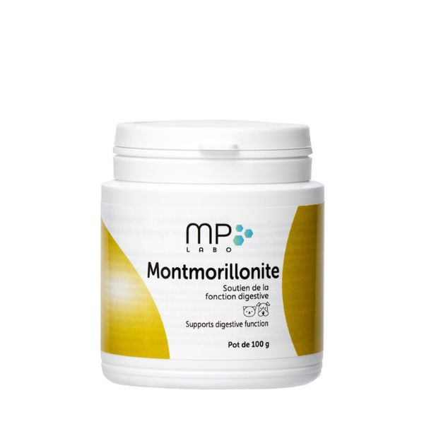 Montmorillonite Surfine - 100 g